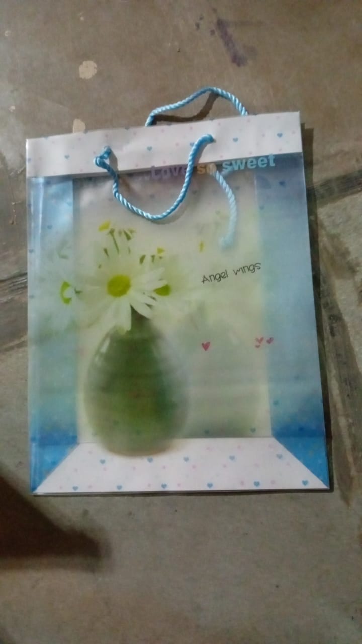 Plastic Transparent Bag With Handle (1 Pc / 34 x 26 Cm) Your Brand