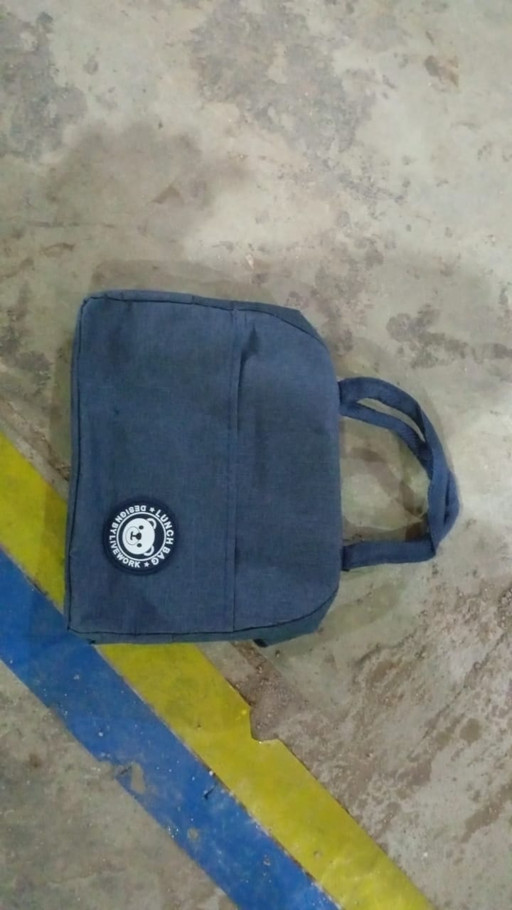 Insulated Lunch Bags for Travel Box / Tiffin / Storage Bag (1 Pc) Your Brand