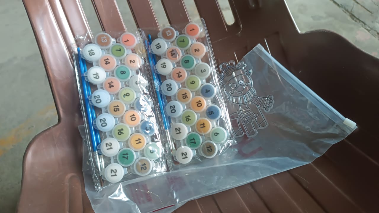 Paint by Number Kits 2 Set 21 Number Color, 6 paint brushes (2 Set) Your Brand