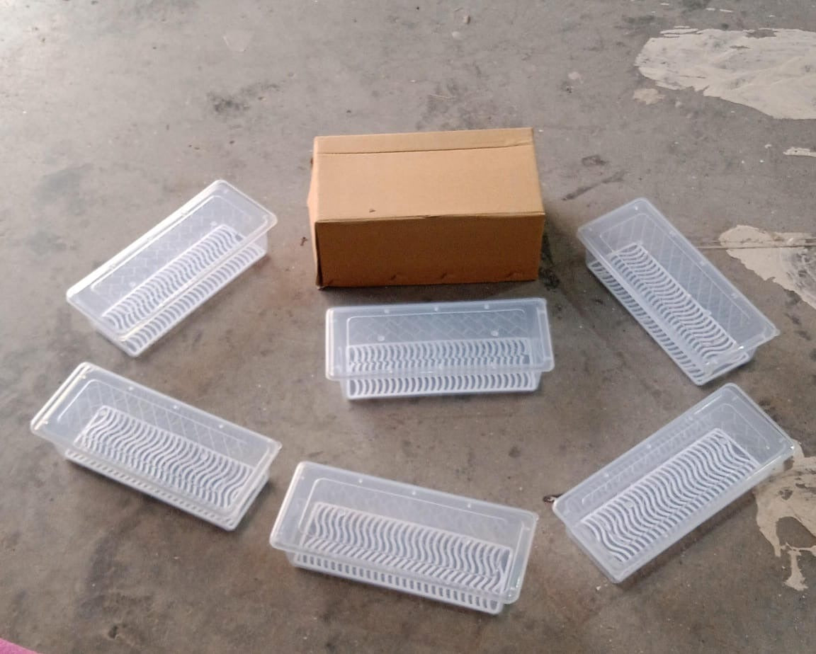 Vegetables & Fruits Freezer Storage Container (PACK OF 6PC 1500ML) Your Brand