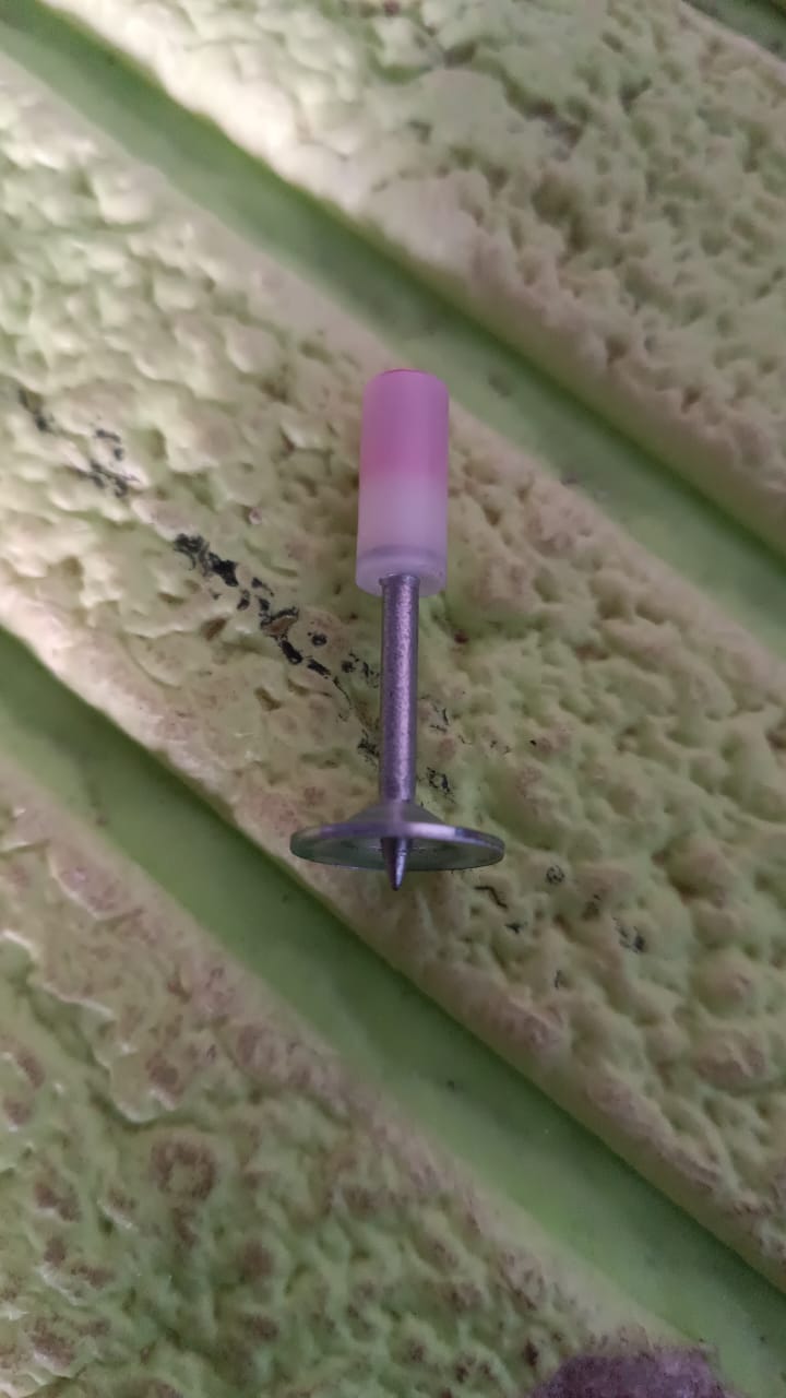 Round Nails for Mini Steel Nails For Gun (100 Pcs Set) Your Brand