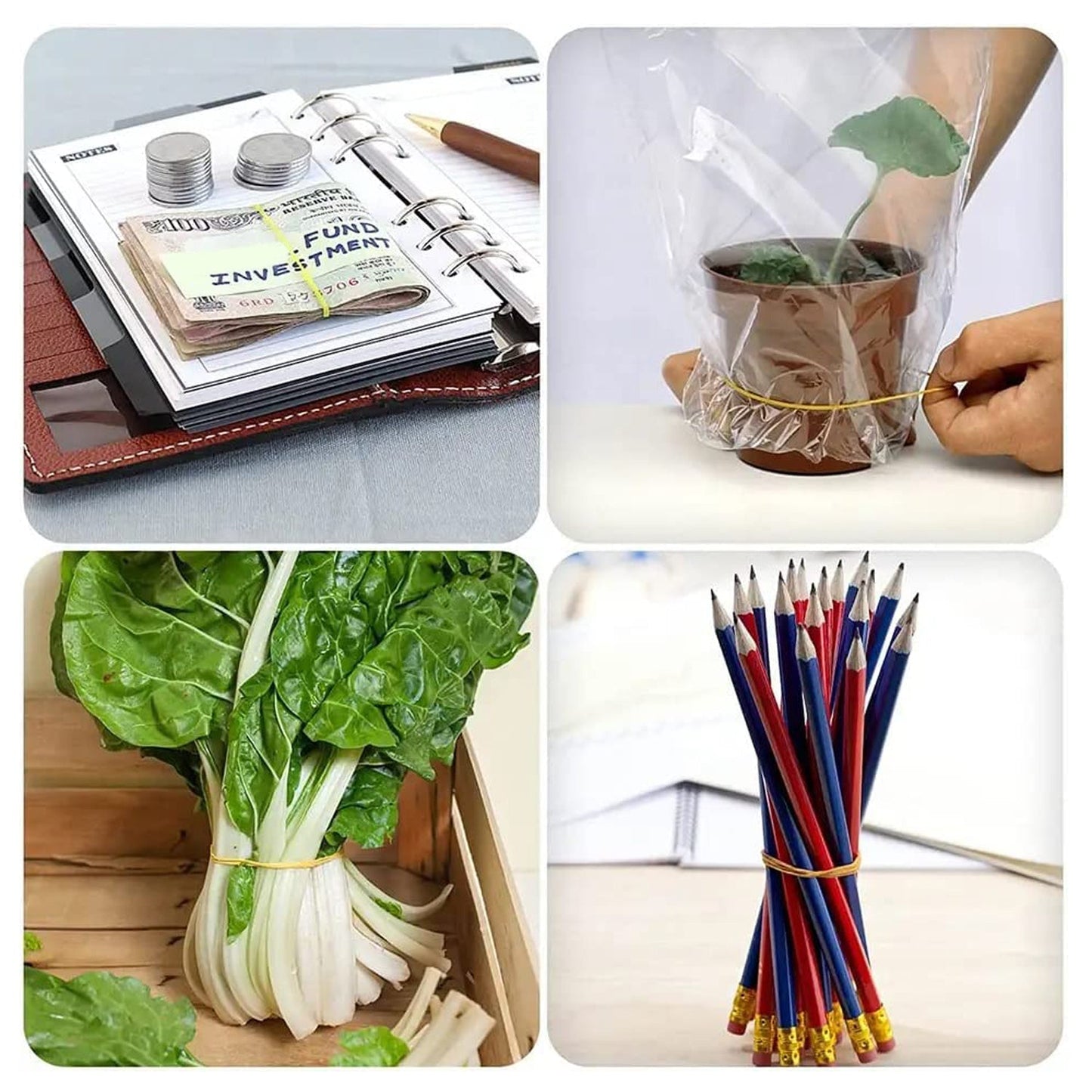 Strong & Reusable Rubber Bands: Multicolor for Office, Home & School Your Brand