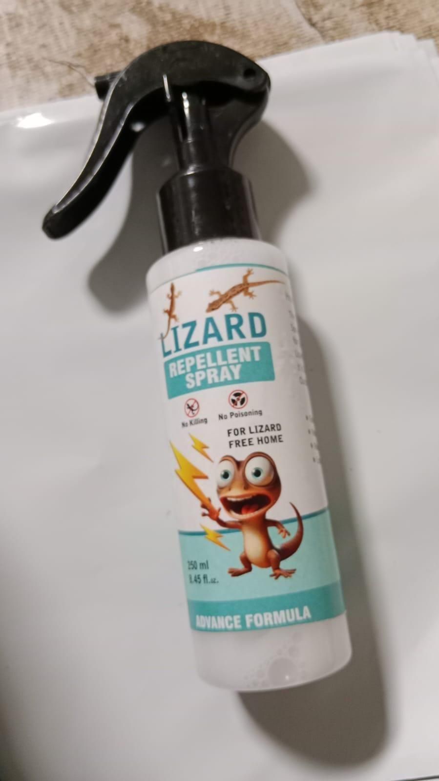 Lizard Repellent Spray (Pack of 2) shopbyte-in