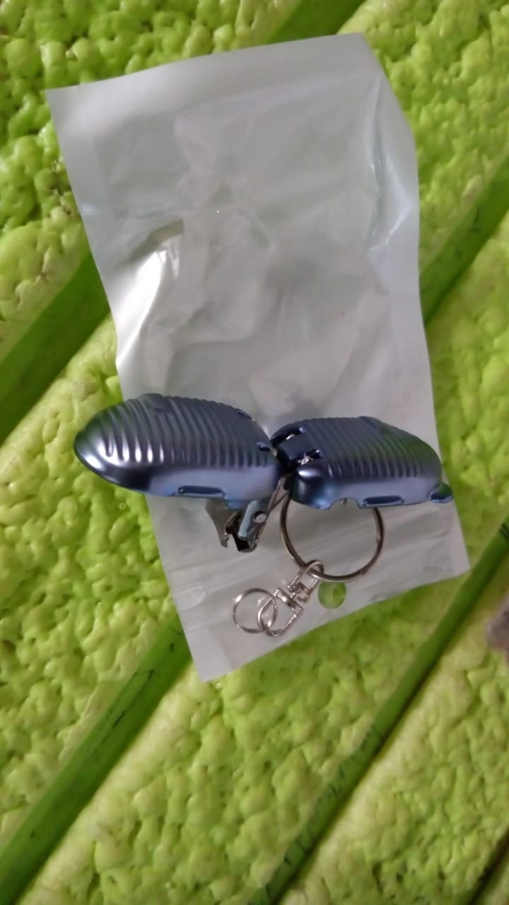 Keychain Nail Clipper | Small Nail Clippers Multicolor (1 Pc) Your Brand