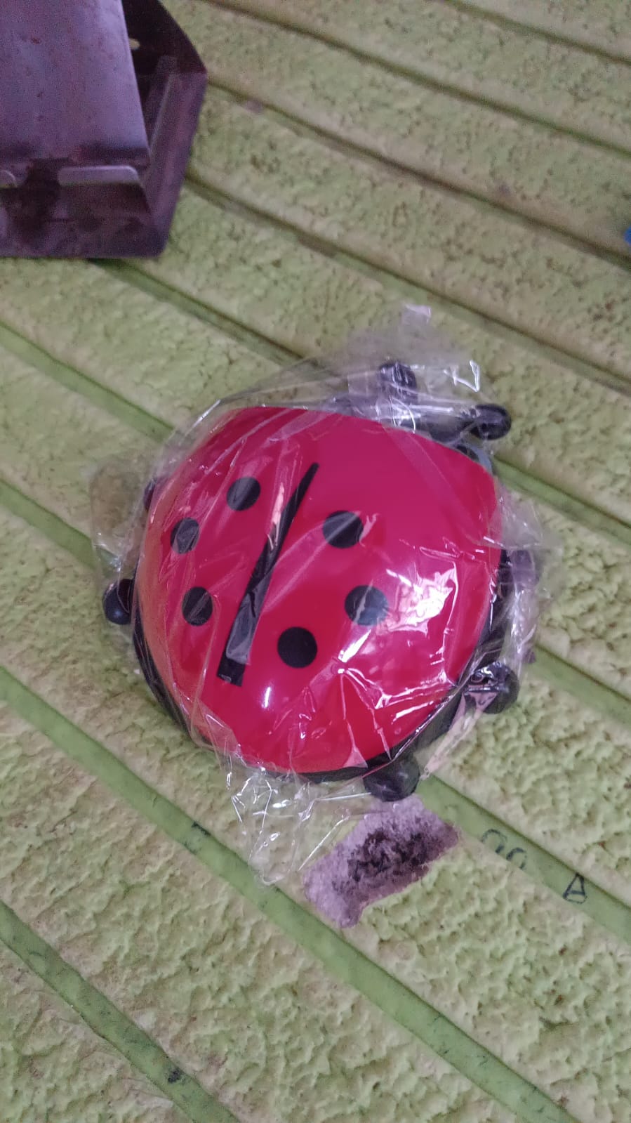 Ladybug Toothbrush Holder (1 Pc) Your Brand