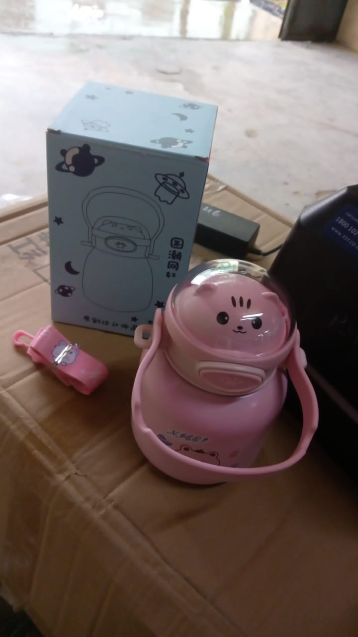 Stainless Steel Mug / Bottle Vacuum Insulated Cup With Handle & Strap (700 ML) Your Brand