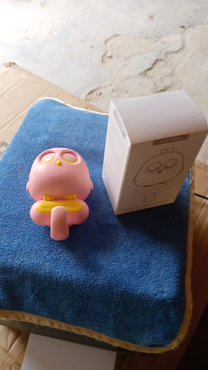 Self Adhesive Wall Hooks Eye Catching Cute Bird Hook, Automatic Open Close Eyes Creative wall Hook (1 Pc) Your Brand