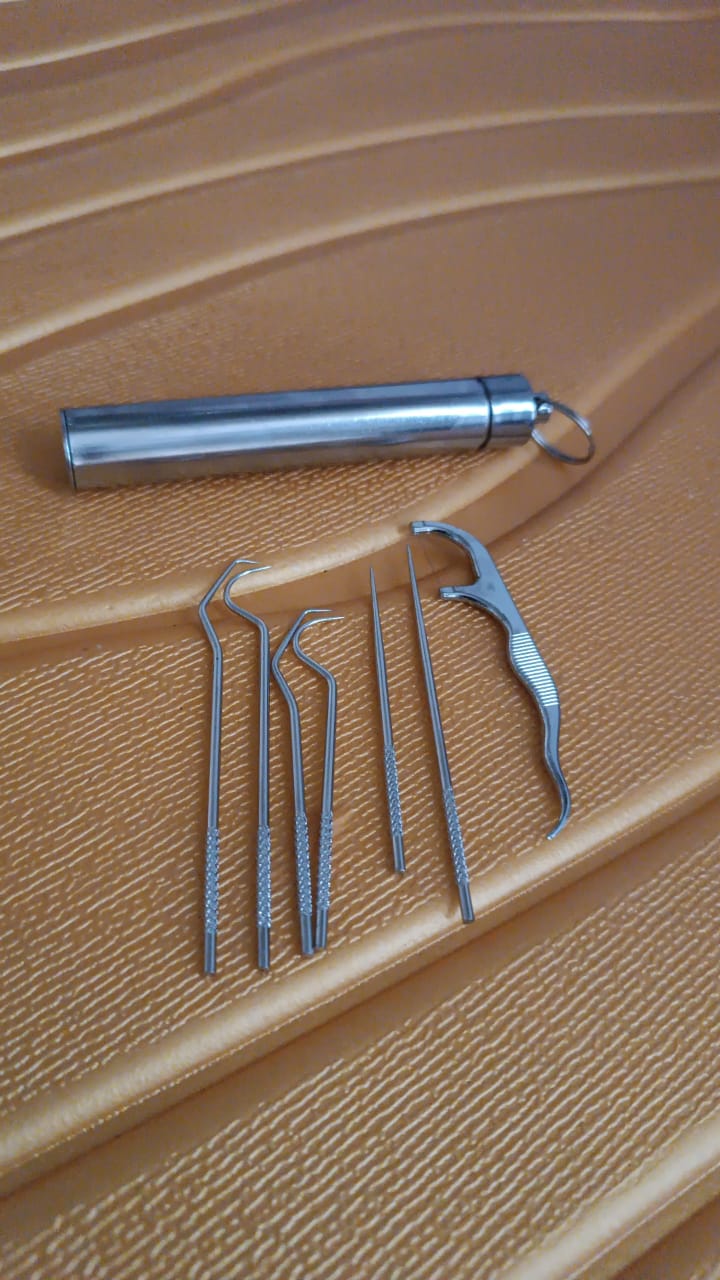 7 IN 1 STAINLESS STEEL TOOTHPICK FLOSSIER SET (1 SET / With Case) Your Brand