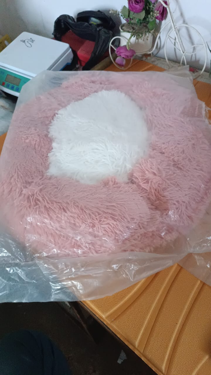 Indoor Dog Bed for Cats (33×33×10 Cm / Small) Your Brand