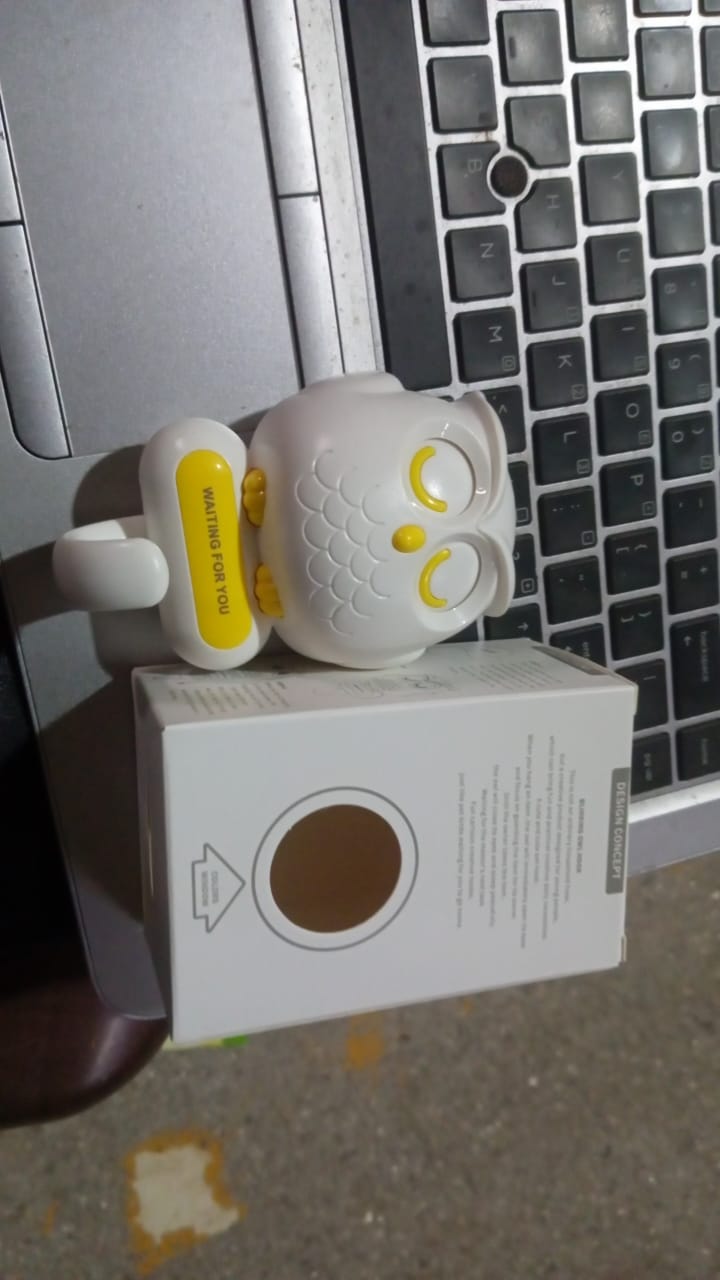 Self Adhesive Wall Hooks Cute Bird Hook (1 Pc) Your Brand