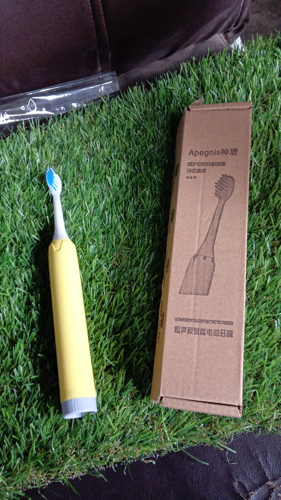 Adult Waterproof Electric Toothbrush 1 Head Battery Operated Toothbrush (1 Pc / Battery Not Included / Mix Color) Your Brand