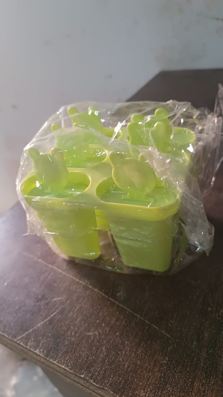 Plastic 6 Grid / Compartment Popsicle Ice Cream Mold (1 Pc) Your Brand