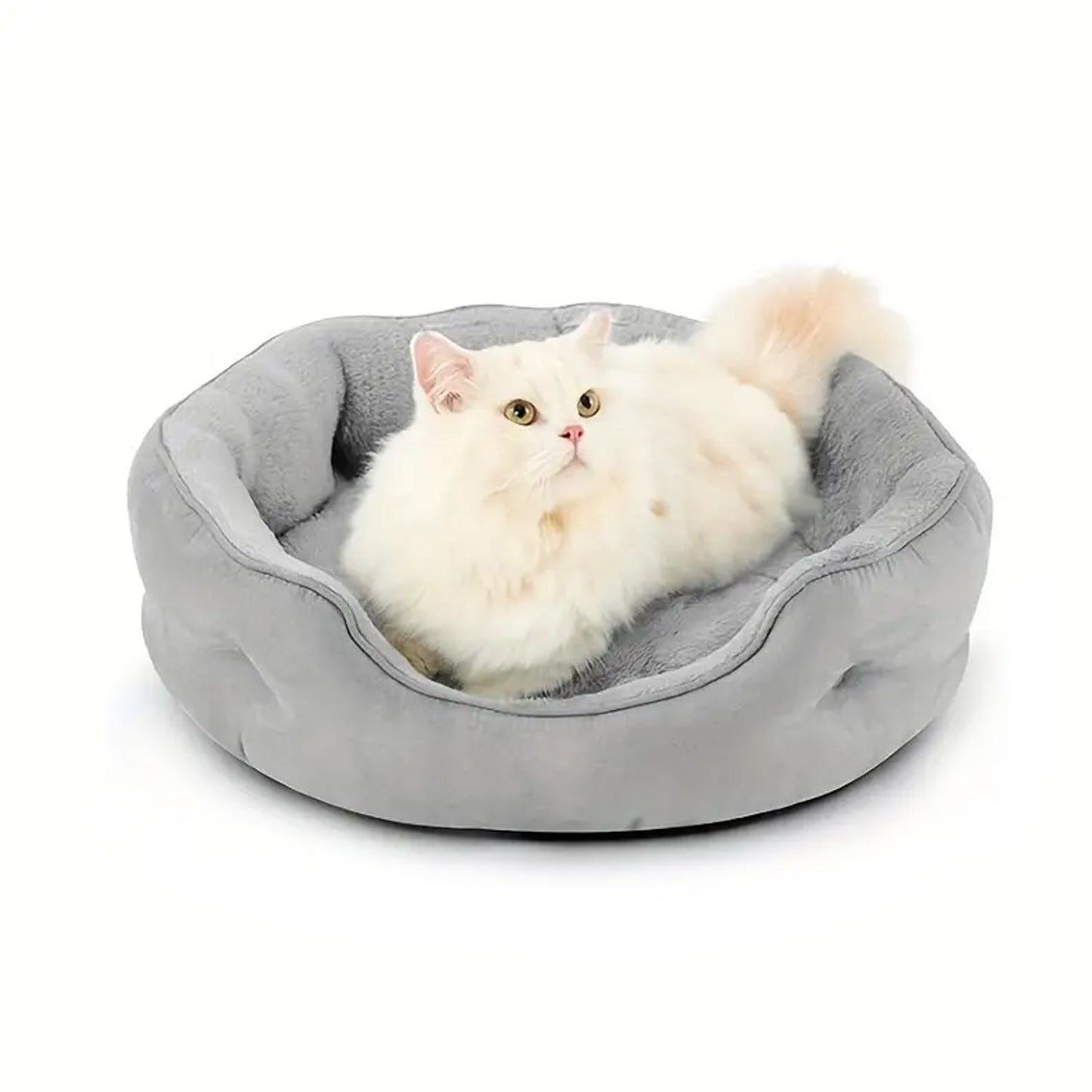 Pet Dog Bed General Thickening Dog Mat (1 Pc / Mix Design & Color) Your Brand
