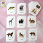 Kidkraft 32-Piece Animal Flash Cards Set