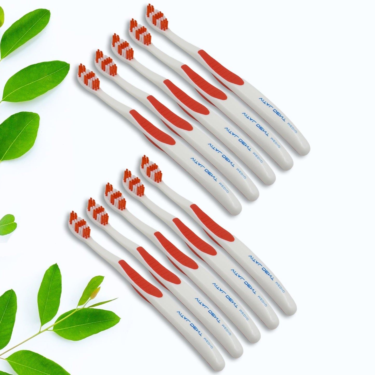 Soft Toothbrush With Plastic Round Box for Men and Women, Kids, Adults Plastic Toothbrush (10 pcs Set) Your Brand