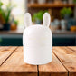 Bunny Box Kitchen Organizer