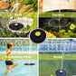 Solar Water Fountain Pump (1 Set)