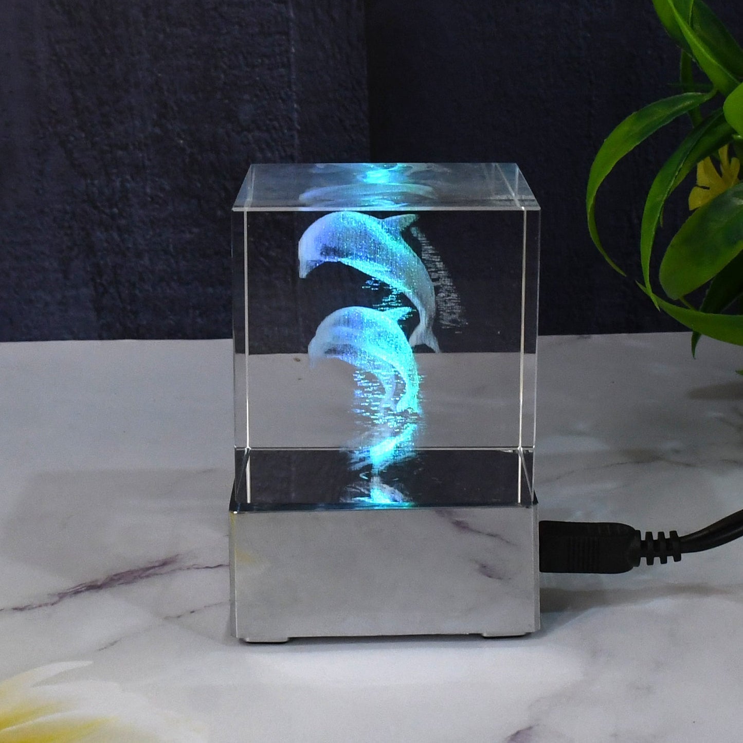 3D Dolphin LED Light, Desk Decor, LED Light Base, USB Charging (1 Pc) Your Brand
