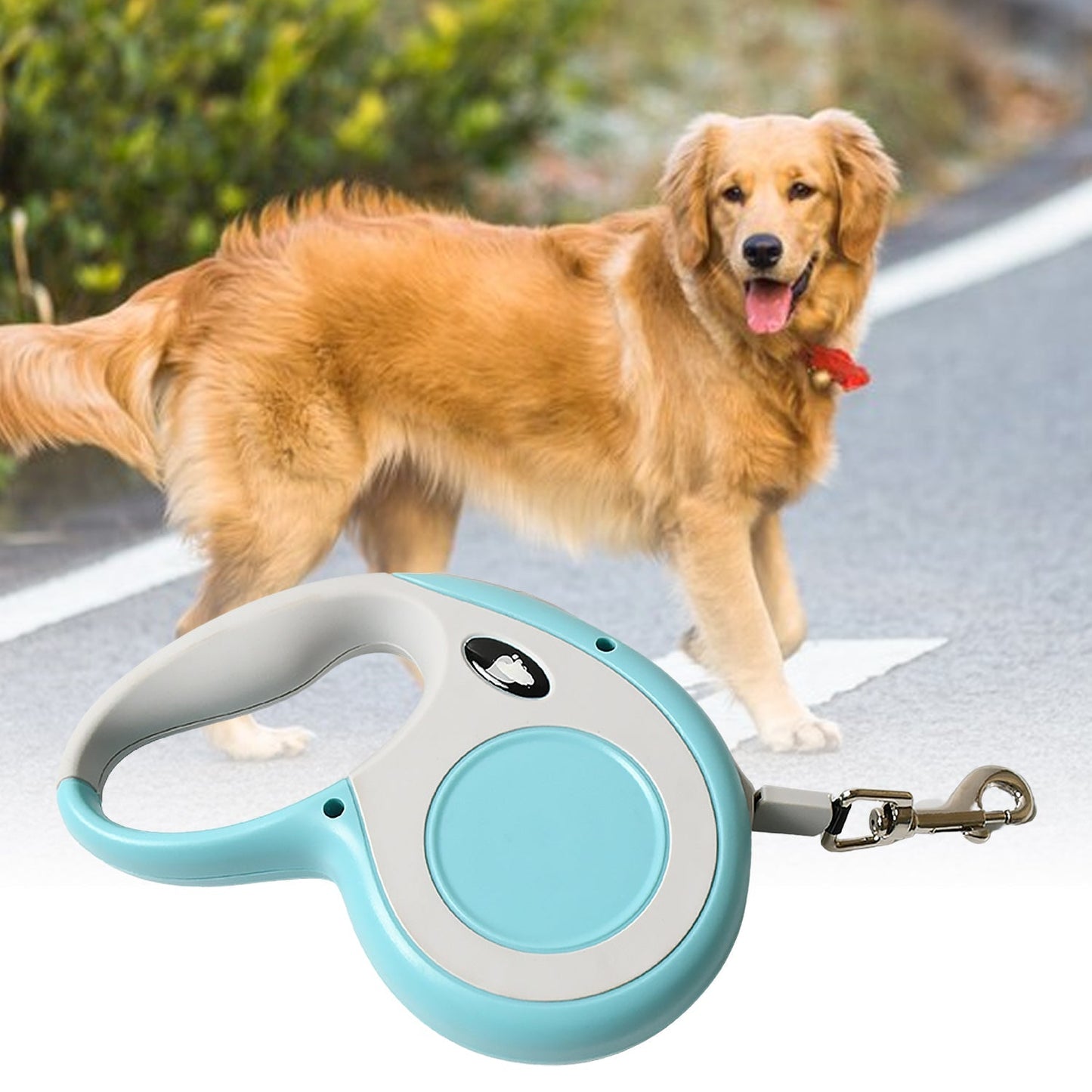 Retractable Dog Leash, Pet Walking Leash with Anti-Slip Handle, Strong Nylon Tape, Tangle-Free, One-Handed One Button Lock & Release, Suitable for Small / Medium Dog Or Cat, 16.5 ft (5 m)  Your Brand