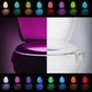 LED Colorful Toilet Cover Lamp
