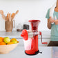 Fruit and Vegetable Juicer nano or mini Juicer