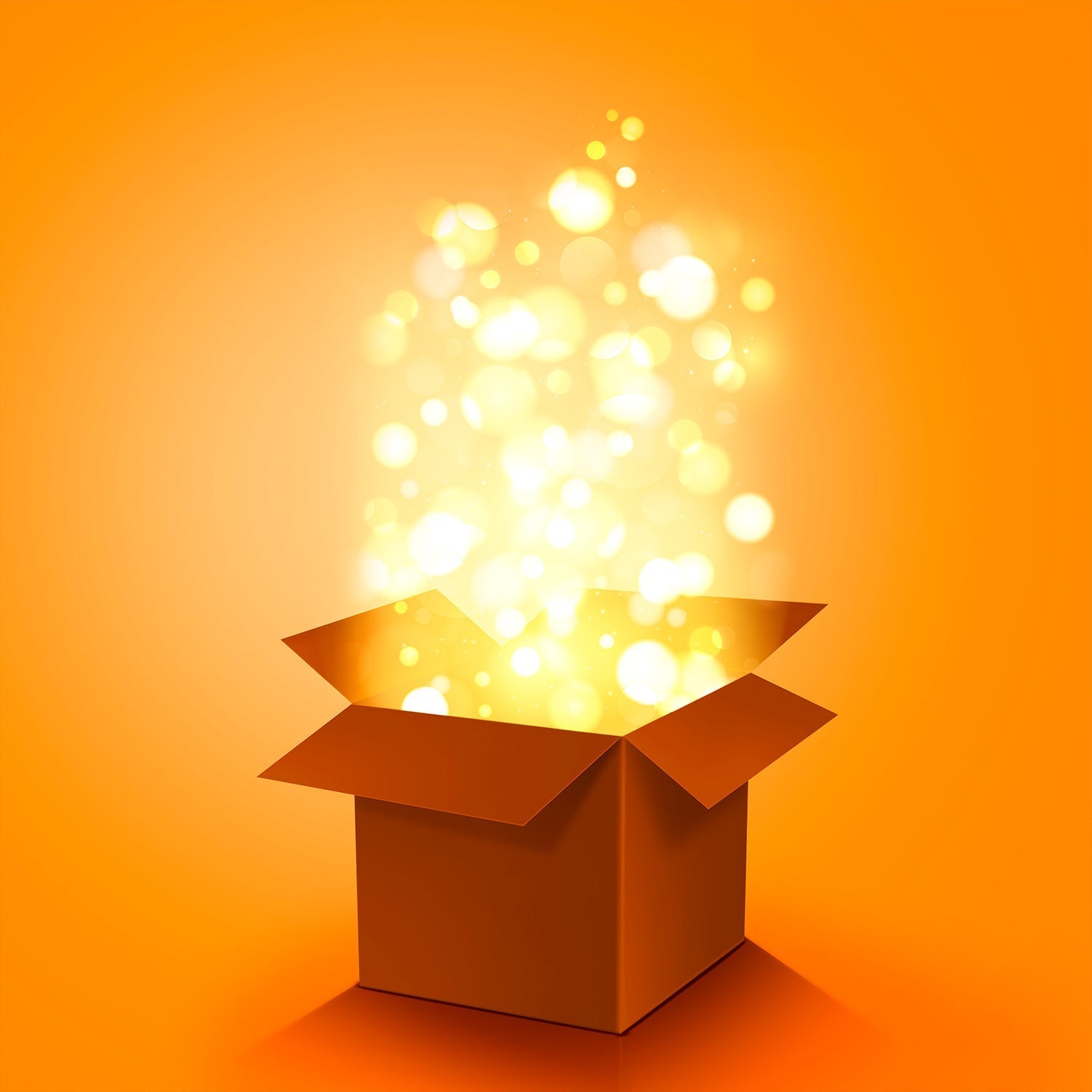 Deodap Mystery Box Premium Product Mystery Box Value Rs. 5000 Your Brand