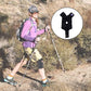 Knee Brace