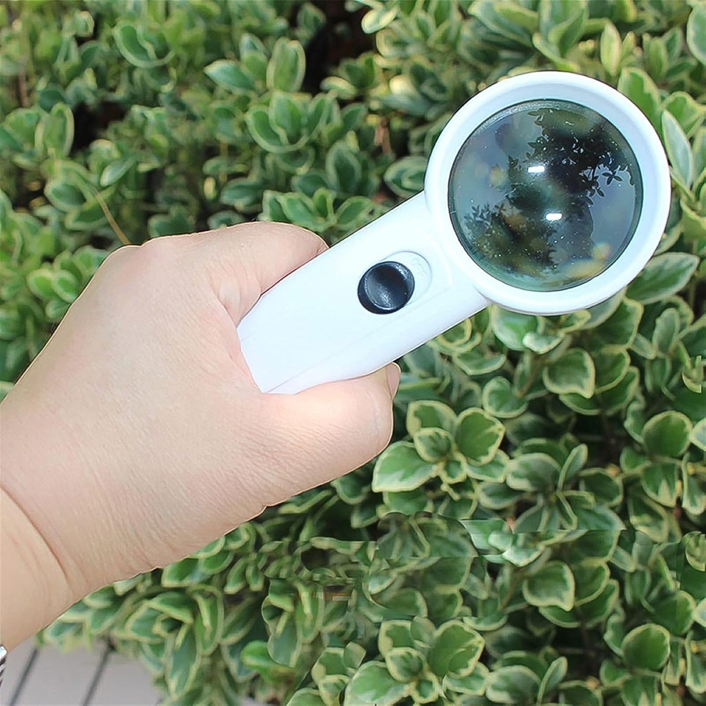 Hand-Held Magnifier with Dual LED Lights (1 Pc / 37MM / Battery not included) Your Brand