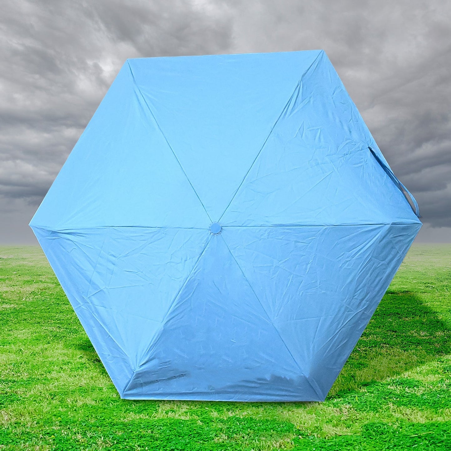 5 Fold Manual Open Umbrella With Capsule Case (1 Pc) Your Brand