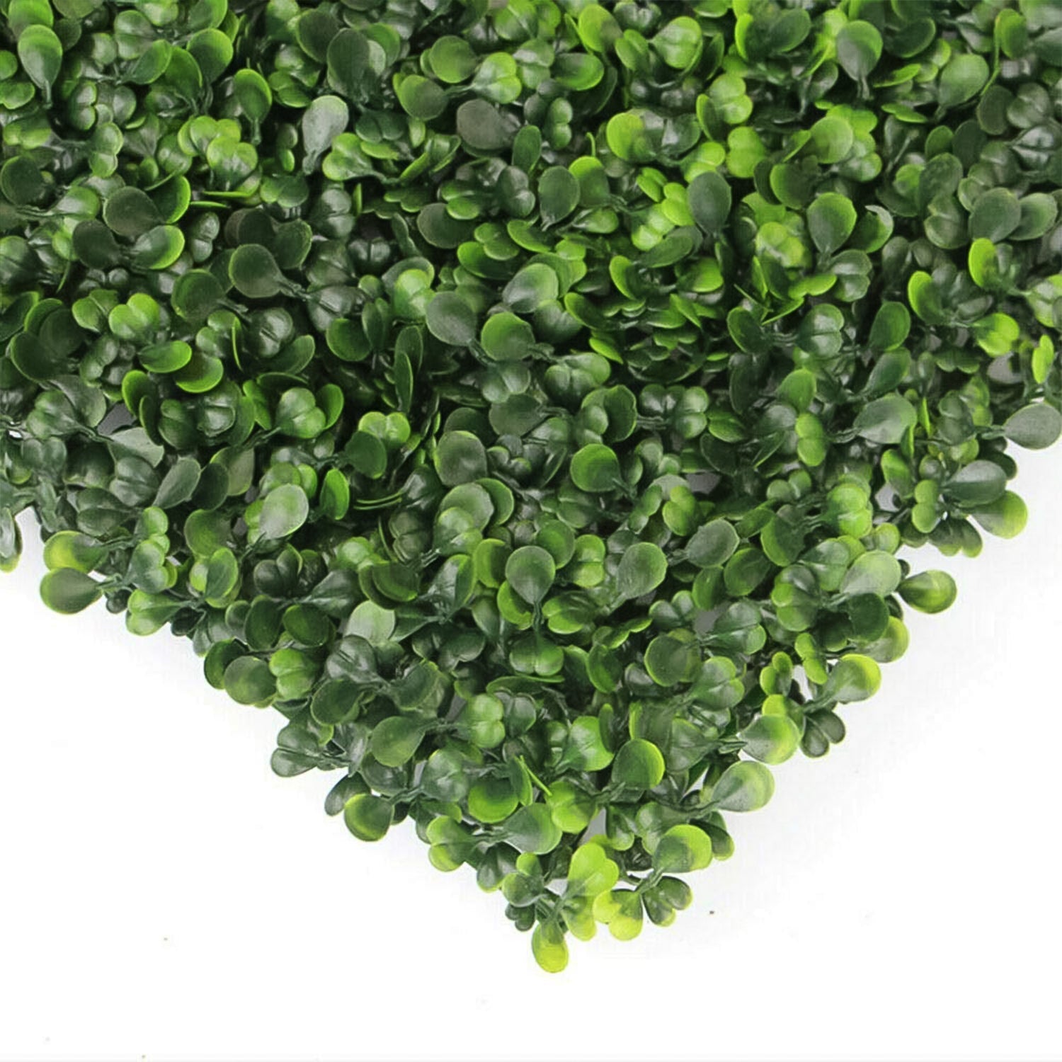 Plastic Wall Artificial Plant Base (60×40 CM / 1 Pc) Your Brand