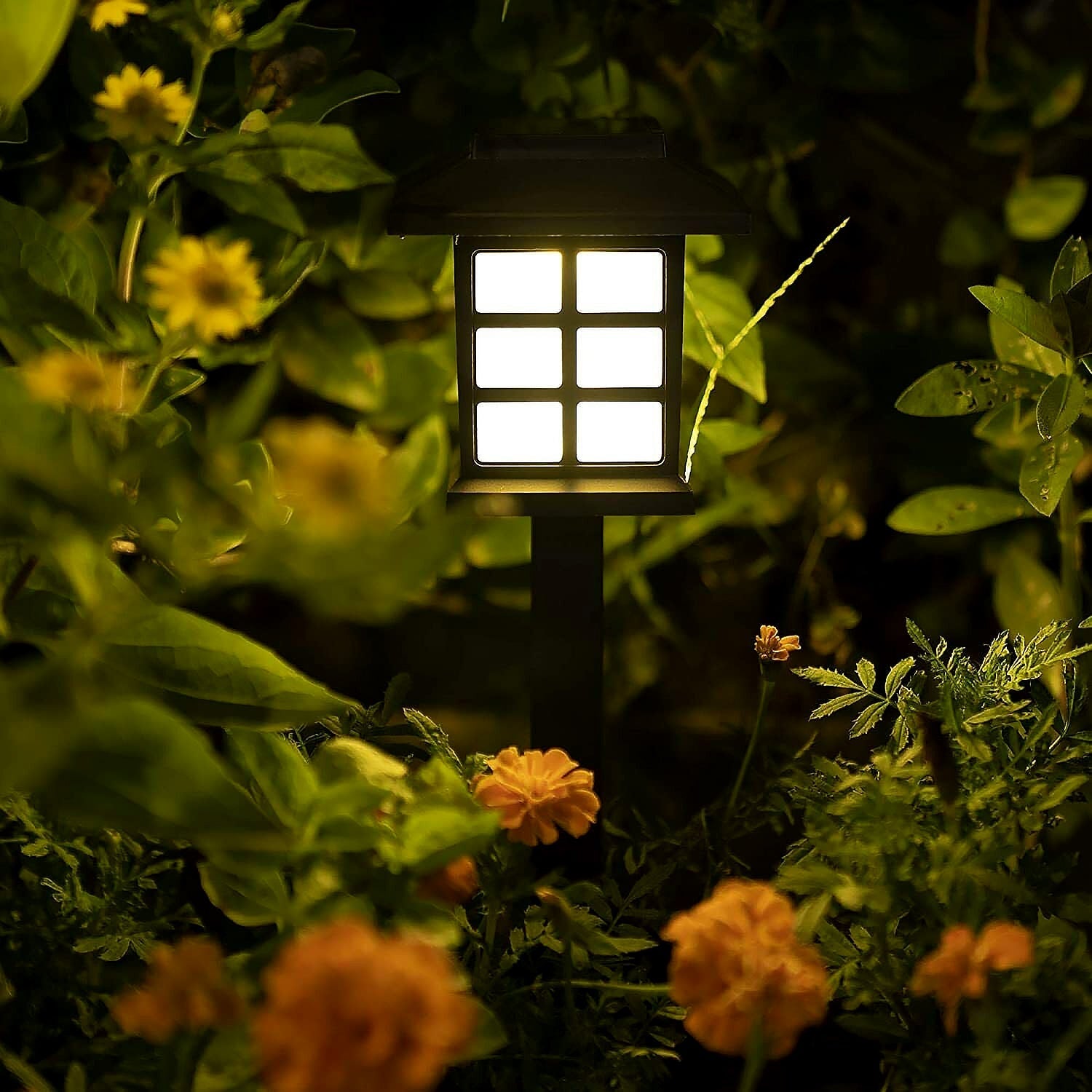 Solar Garden Lights, Outdoor Solar Landscape Lights, Waterproof Outdoor Solar Lights Walkway for Patio, Lawn, Yard, and Landscape (Pack of 2) Your Brand