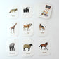 Kidkraft 32-Piece Animal Flash Cards Set