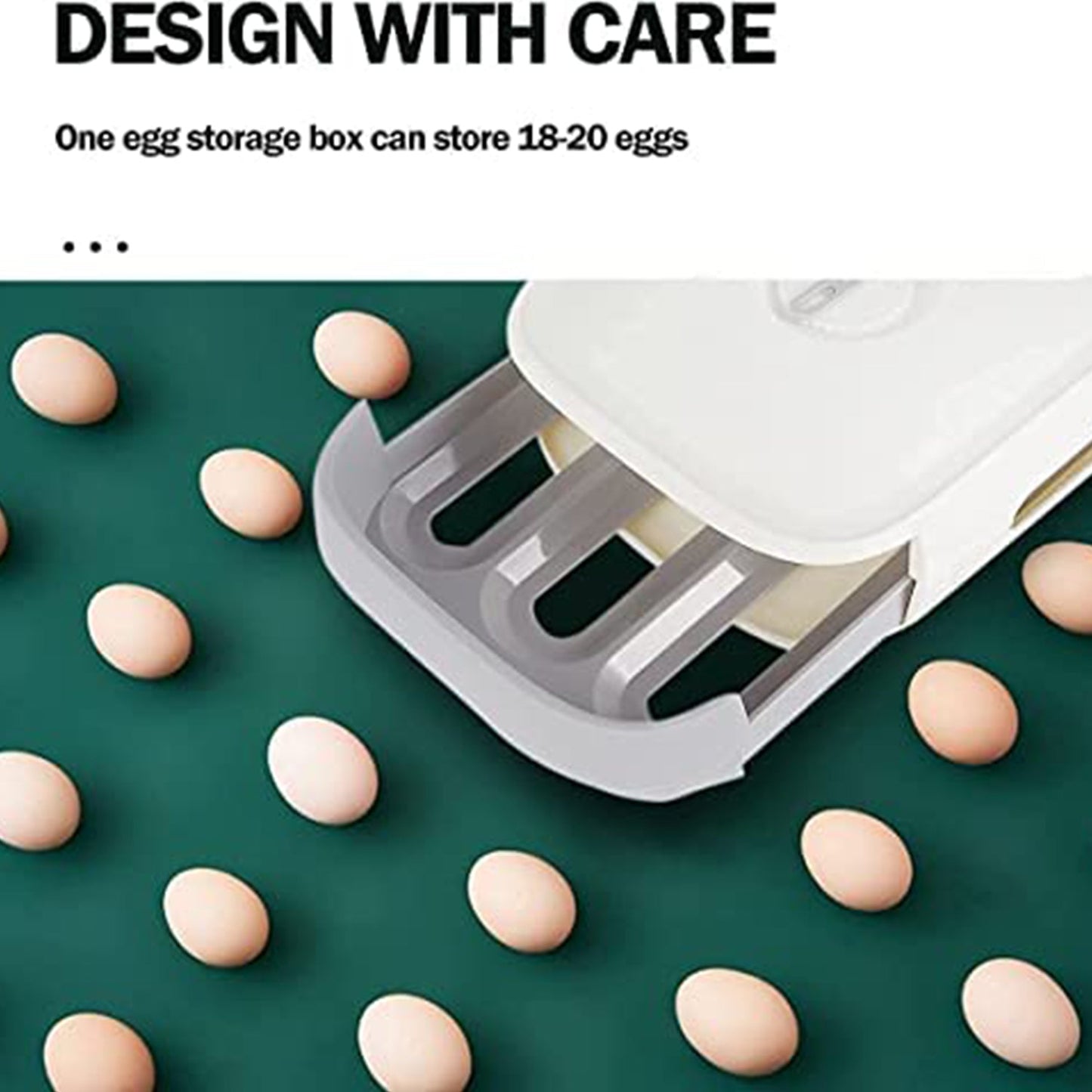 Egg Storage Box
