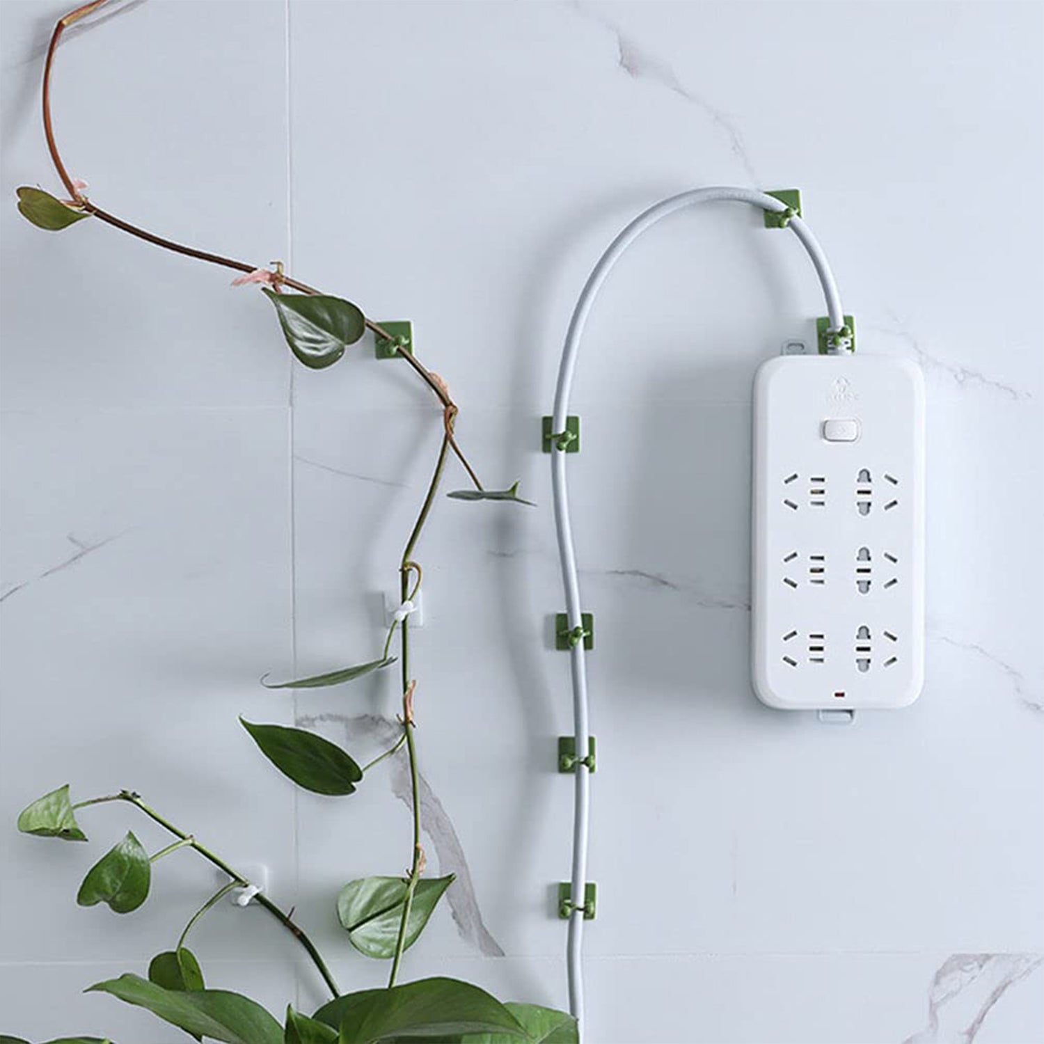 Plant Climbing Wall Fixture Clip Self-Adhesive Hook (200 Pcs Set) Your Brand