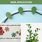 Plant Climbing Wall Clip,Self-Adhesive Vines Support Hooks for Indoor & Outdoor (10 Pcs Set)