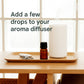 Premium Aroma Diffuser Essential Oil (10ML / 1 Pc)