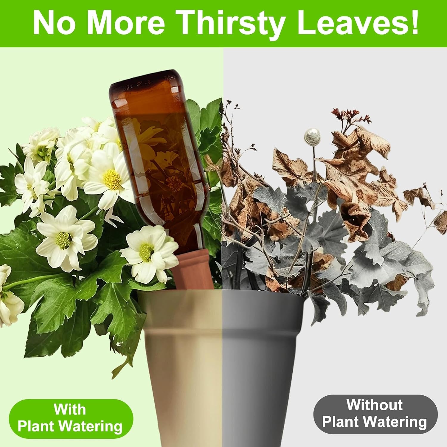 Self Plant Watering Spikes (4 Pcs Set) Your Brand
