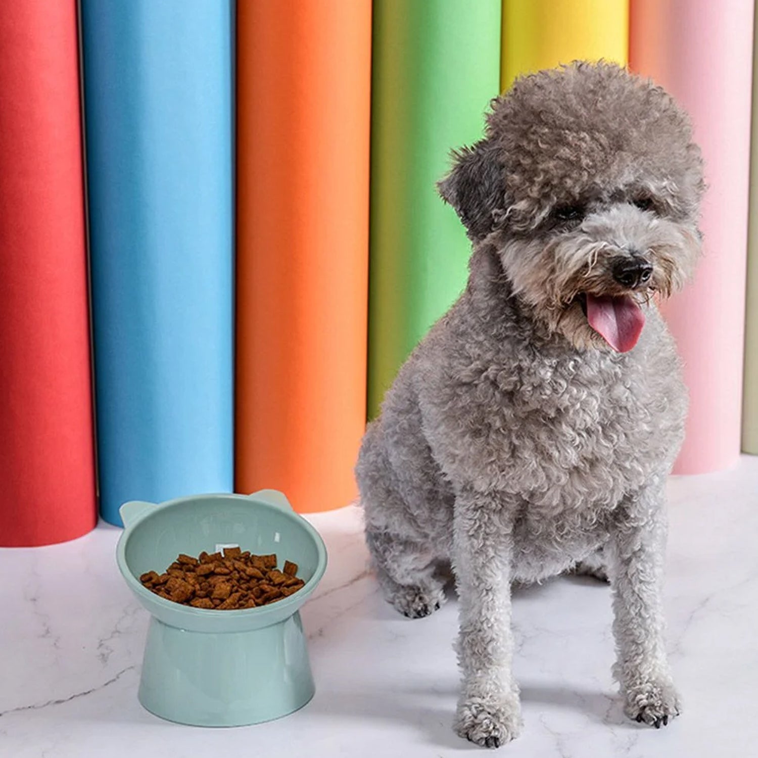 Plastic Multipurpose Bowl, Food Bowls (1 Pc) Your Brand