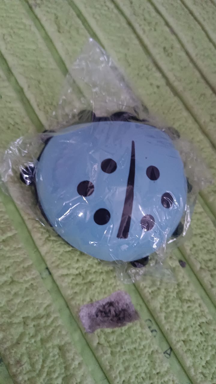 Ladybug Toothbrush Holder (1 Pc) Your Brand