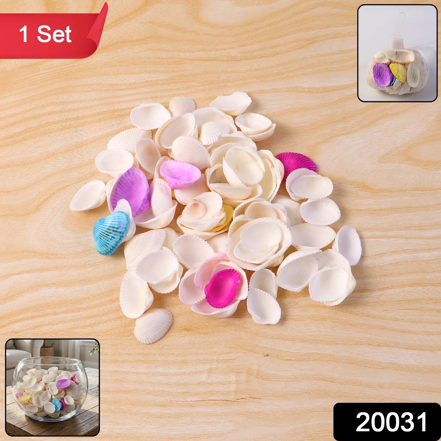 Seashell Decoration Set