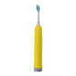 Adult Waterproof Electric Toothbrush (1 Pc / Battery Not Included / Mix Color)