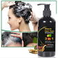 BLOSDREAM Black Hair Shampoo 3 in 1-100ml (Pack of 2)