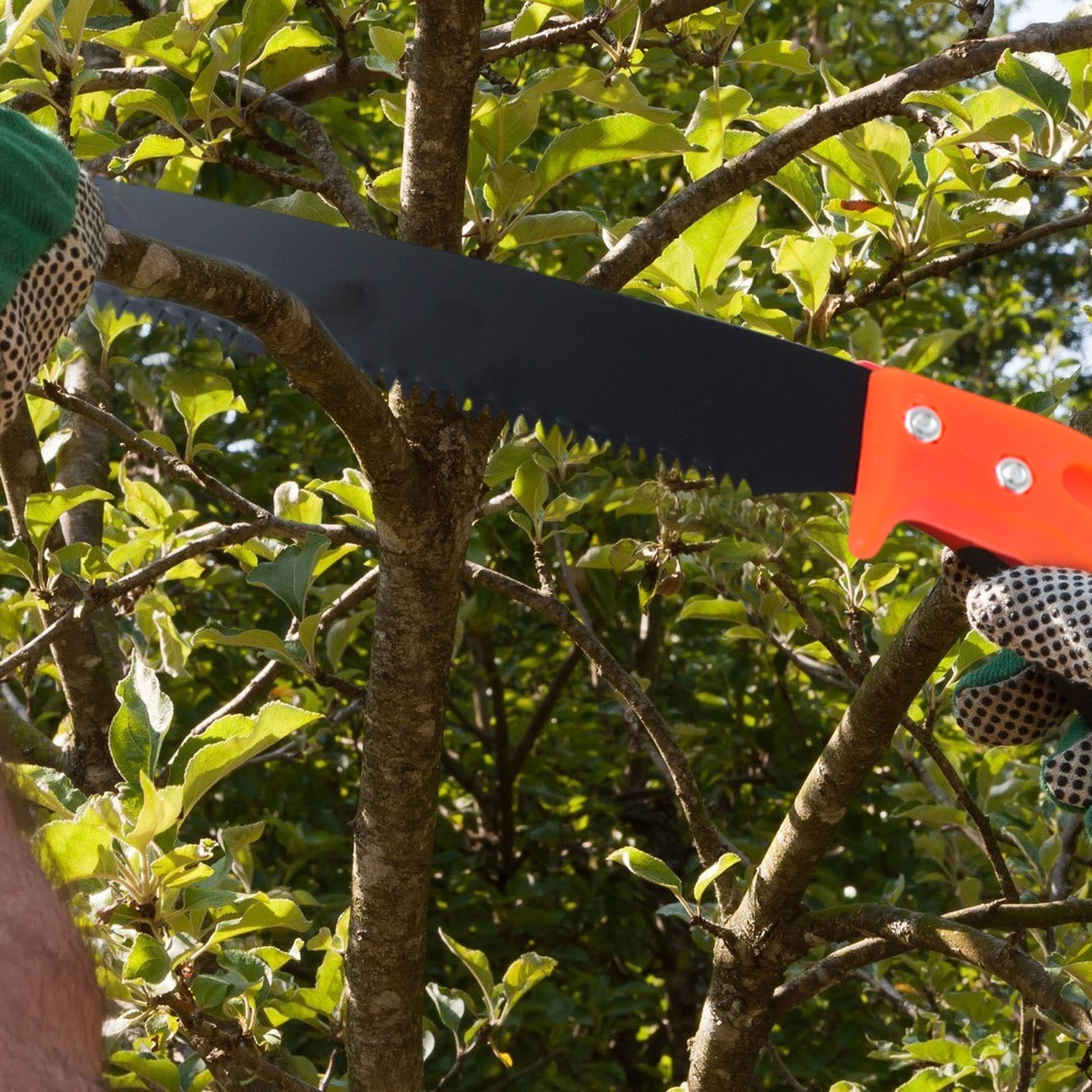 Hand Pruning Saw for Tree Branch Cutter (1 Pc) Your Brand