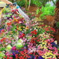 Buy Varieties of Flower Seeds (Pack of 100) And Get Plant Growth Supplement Free
