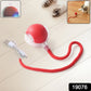 Cat Chase Ball