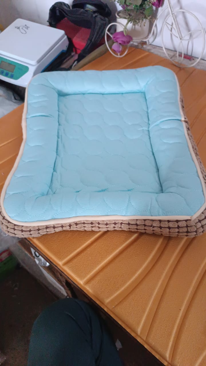 Cat / Dog Bed for Indoor Cats (1 Pc) Your Brand