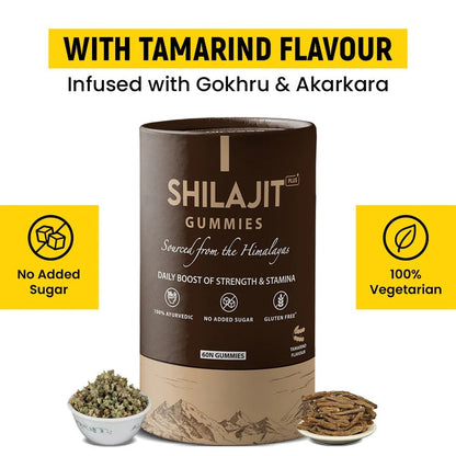 Shilajit Plus Gummies (60 Gummies) shopbyte