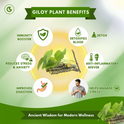 Herbal Giloy Patches 🌿✨ (Buy 1 Get 1 Free🔥🔥) Shopbyte