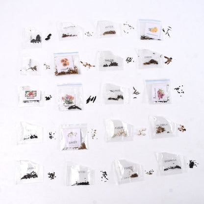 Seeds 20 Varieties Of Flower Seeds Combo (1 Pkt  20 Varieties) Wukusy