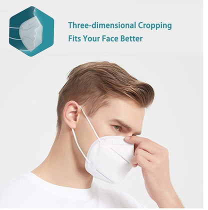 N95 Anti Pollution / Virus Face Mask (10 Pcs Set) Your Brand